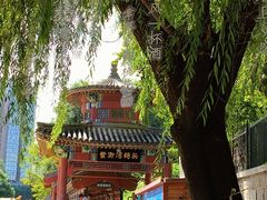 -皇家御河游(紫御湾码头)