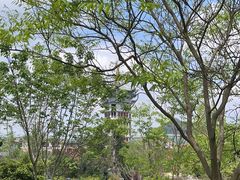 -江西龙虎山景区