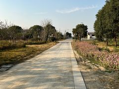 -七的湖·晚芳亭·阳澄湖农家菜·大闸蟹(莲花岛店)