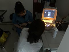 -瑞派动物医院·绝育·犬猫全科·预防医学(光景江南中店)