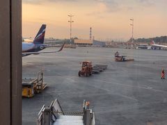 -谢列梅捷沃国际机场