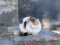 -颐和园