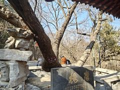-千佛山风景名胜区