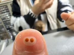 -槿里日式美甲工作室