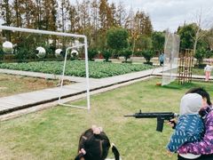 -前小桔亲子创意农场·草莓采摘·露营烧烤