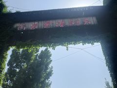-沂蒙云瀑洞天景区