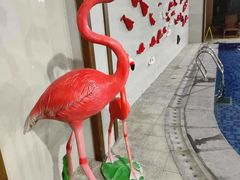 -海兰云天度假区温泉