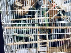 -舌尖上的食缘花园主题餐厅