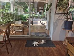 -echoes coffee回响咖啡(888街店)