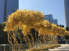 -重庆市江北嘴中央商务区中央公园