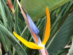 -南通洲际绿博园