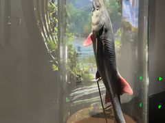 -中国湿地博物馆