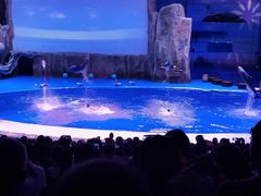 -华夏文旅海洋公园