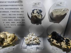-湖南省地质博物馆
