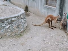 -西安秦岭野生动物园