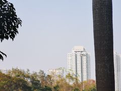-荔香公园