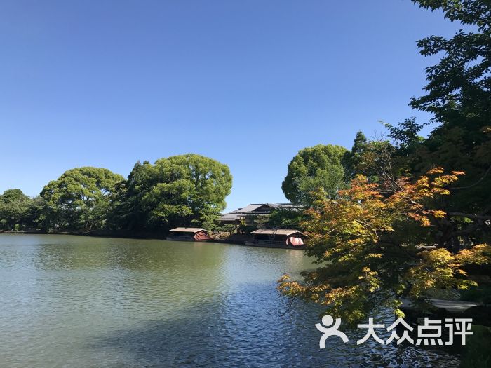 大泽池图片 - 第3张