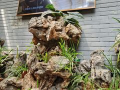 -蔼若春.传承三十年云南菜(金碧公园店)