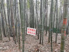 -西湖风景区十里琅珰-五云山