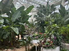 -石家庄市植物园