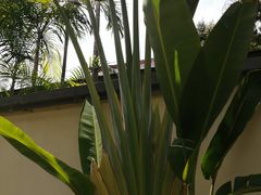 -广州从化都喜泰丽度假酒店温泉