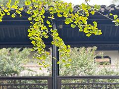 -惠山古镇·寄畅园