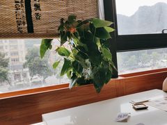 -粤点越有·茶点·粤菜(樵岭国际店)