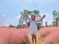 -王借岗森林公园