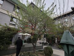 -庐灶江南·江南菜·四合院Bistro(东直门雍和宫·原华侨宾馆店)
