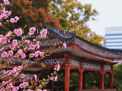 -西湖公园(鼓楼区)