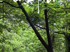 -大蜀山国家森林公园