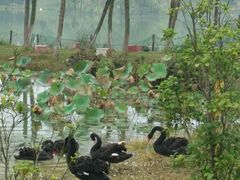 -艾溪湖湿地公园