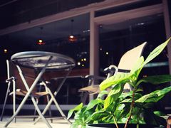 -LEO CAFE