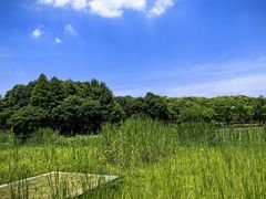-白塘生态植物园