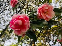 -昆明市金殿名胜区