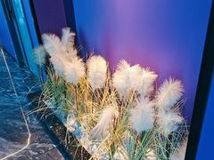 -青春足迹·概念店·小憩足疗SPA