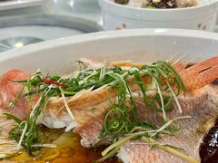 -绿雅居原生态农庄(小涌店)