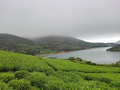 -嵛山岛