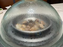 -青蓬蒸汽海鲜·深圳老字号·团建聚会(壹方城店)