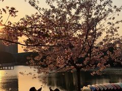 -新江湾城公园
