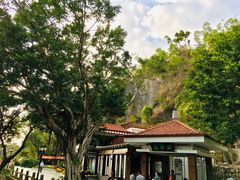-板樟山森林公园
