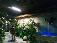 -泉城欧乐堡戏水湾艺术养生温泉