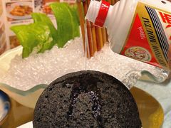 -邑家人·山水四合院