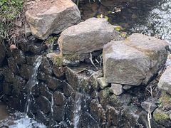 -杭州植物园