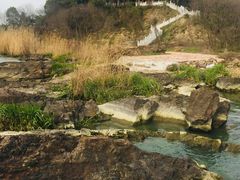 -上海市保健医疗中心(华东疗养院)