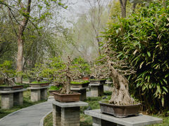 -郑州植物园