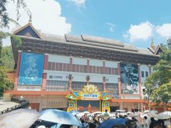 -西双版纳原始森林公园
