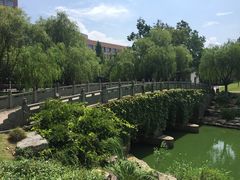 -日出青木·杭帮菜名店