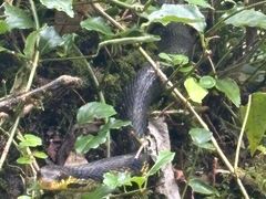 -西岭雪山大飞水景区