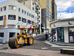 -宝健路步行街(Pedestrian Shopping Street)